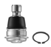 Trag-/Führungsgelenk