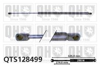 Gasfeder, Koffer-/Laderaum