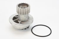 Wasserpumpe, Motorkühlung