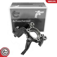 Steering Knuckle, wheel suspension