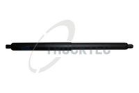 Amortizor portbagaj TRUCKTEC AUTOMOTIVE, Cod: 08.63.034