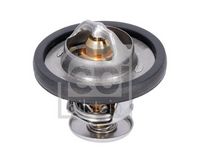 Thermostat, Kühlmittel
