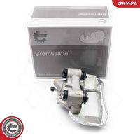 Article Picture