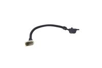 Sensor, Nockenwellenposition Sensor, Nockenwellenposition