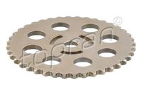 Gear/Sprocket, camshaft