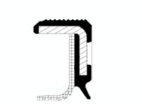 Article Picture