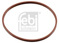 Dichtring, Drosselklappenstutzen