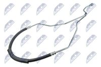 Article Picture