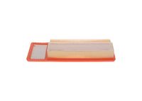 Article Picture