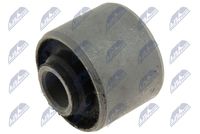 тампон, носач