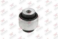 тампон, носач