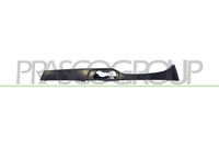 Acoperire faruri PRASCO, Cod: BM0222114