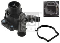 Thermostat, coolant