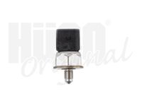 Sensor, Kraftstoffdruck