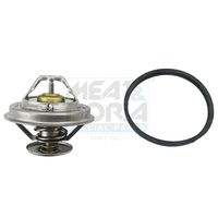 термостат, охладителна течност