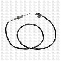 Sensor, Abgastemperatur