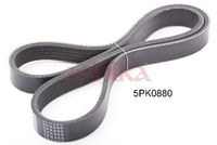 Curea transmisie cu caneluri ASHIKA, Cod: 112-5PK880