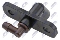 Article Picture