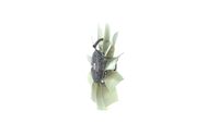 Thumbnail - Koelventilatorwiel - CFF480000P - MAHLE