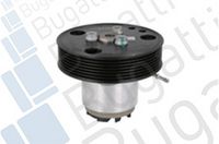 Wasserpumpe, Motorkühlung