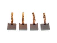 Carbon Brush, starter