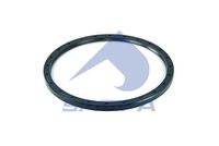 DICHTRING ACHSSCHENKEL (FEDERBOCK)