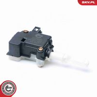 Article Picture