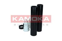 Article Picture