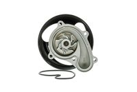 Wasserpumpe, Motorkühlung