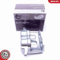 Article Picture