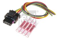 Stecker