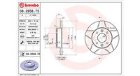 Bremsscheibe