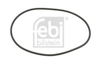 Dichtung, Bremswelle