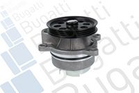 Wasserpumpe, Motorkühlung