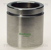 Kolben, Bremssattel