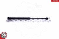 Gas Spring, boot/cargo area