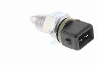 Article Picture