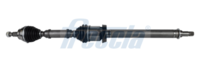 Planetara FRECCIA, Cod: DS16-1019