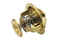 WAHLER Thermostaat, koelvloeistof 2