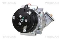 Compresor, climatizare TRISCAN, Cod: 9020 15025
