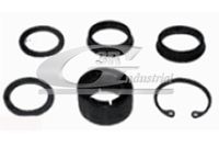 BUCSA ARBORE DE DIRECTIE