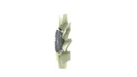 Thumbnail - Koelventilatorwiel - CFF506000P - MAHLE