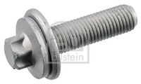 Schraube, Bremssattel