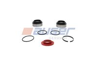 Set reparatie, butuc roata AUGER, Cod: 56549