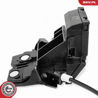 Article Picture