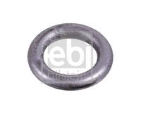 Dichtring, Steuerkettenspanner