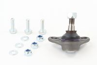 Trag-/Führungsgelenk