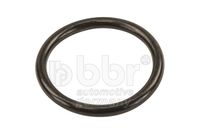 Radiator Hoses/Gasket