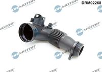 Gaisa tvērēja caurule, Gaisa filtrs DRM02268