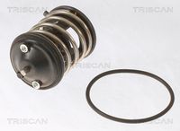 Thermostat, Kühlmittel